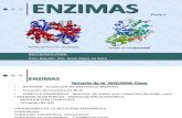 ENZIMAS - Biotecnología 2.1