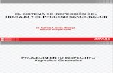 PICLima Sistema Inspeccion Trabajo Proceso Sancionador 2014