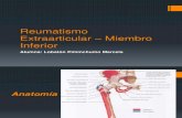 Reumatismo Extraarticular – Miembro Inferior