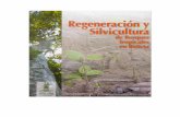Regeneracion y Silvicultura de Bosques Tropicales en Bolivia
