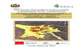 Modelacion Hidraulica Redes de La Paz El Alto