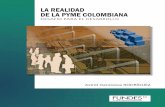 Realidad PYMES en Colombia