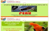 Animales en Extinción-perú Ale y Giordano2