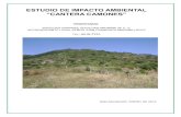 Estudio de Impacto Ambiental-cantera Camones, Santa Ana
