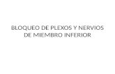 BLOQUEO DE PLEXOS Y NERVIOS DE MIEMBRO INFERIOR.pptx