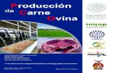 SAGARPA-InIFAP Manual Producción de Carne Ovina