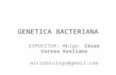 genetica BACTERIANA