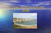 Accion Geologica Del Mar
