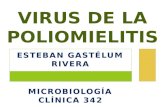 Virus de La Poliomielitis
