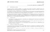 6_0 Plan de Manejo Ambiental (1).pdf
