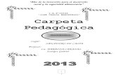 CARPETA PEDAGOGICA 201.doc