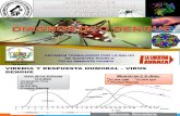 Dx Dengue Concervacion y Transporte de Muestras