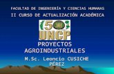 Proyectos Agroindustriales i -Clase 1