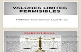 Valores Limites Permisibles Exposicion Giovanni Angel (1)