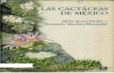 Las Cactaceas de Mexico V2