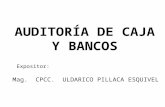 2. Curso Auditoria Caja y Bancos - Expos (2)