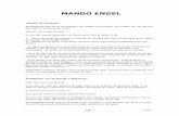MANDO ENGEL.pdf