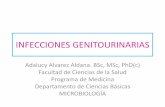 Infecciones genito-urinarias estudiantes.pdf