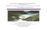 Resumen Ejecutivo EIA Central Hidroelectrica.pdf