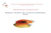 Manual Tecnico de La Papaya Maradol