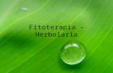 1Fitoterapia - Herbolaria