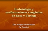 Embriología y Malformaciones Congénitas de Boca y Faringe1