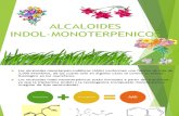 ALCALOIDES MONOTERPENINDOLICOS.pptx