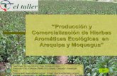 7117404 Produccion y Comercializacion de Hierbas Aromaticas Ecologicas Dieter Clower