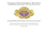 46762768 Plan de Comunicacion Educativa Colegio Odontologico Del Peru