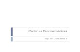 Cadenas biocinematicas [Sólo lectura].pdf