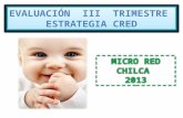 CRED Microred Chilca