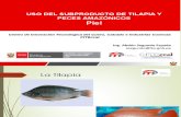 11 Uso de Subproductos de Tilapia y Peces Amazonicos