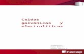 Celdas Galvanicas y Electroliticas