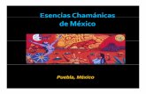 Esencias Chamanicas de Mexico