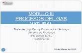 149790534 Modulo III Proceso de Gas Natural y Plantas