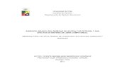 Derecho de Peticion y de Accionar Tesis Chile