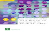 _Guía Practica Clínica Prevención y Tratamiento UPP SAS Copy (1)