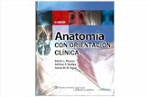 Anatomia Orientacion Clinica Moore 6a Rinconmedico.net