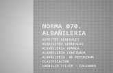 NORMA 070 - ALBAÑILERIA