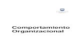 Comportamiento Organizacional - 2010 (1) (1)