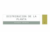 Distribucion de La Planta Clase 2011