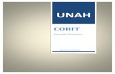 Cobit Informe