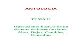 Antologia Tema 11