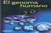 El Genoma Humano. Trabajo (1)