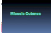 Micosis cutanea
