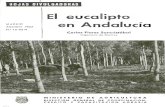 El Eucalipto en Andalucia 1962
