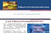Clase 4. Neurotransmisores