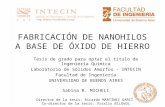 Síntesis de Nanohilos Magnéticos - INTECIN - 2013