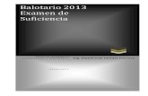 Balotario de Preguntas -2013r