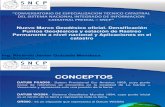Nuevo Marco Geodésico SNCP.pdf